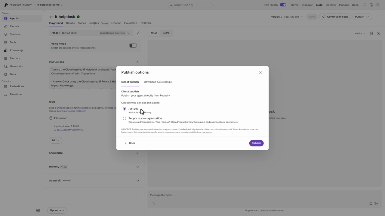 Foundry publish options: Just you or People in your organization